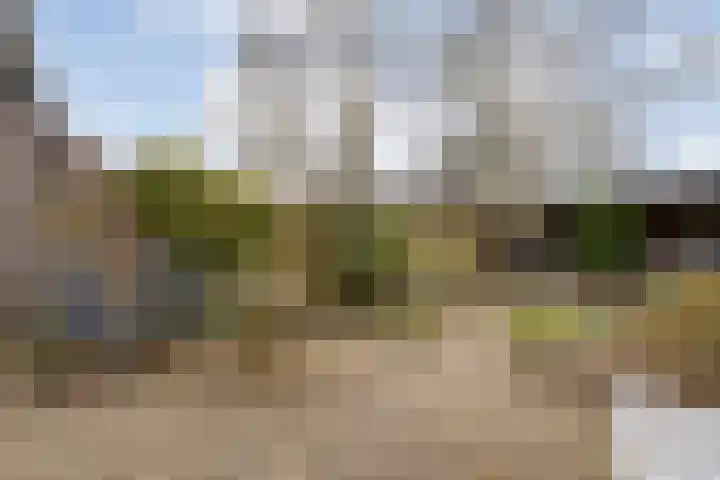 Venkel 35 Raalte thumbnail 31