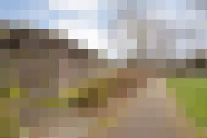 Venkel 35 Raalte thumbnail 36