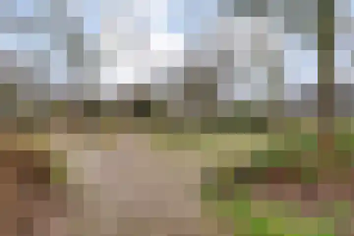 Venkel 35 Raalte thumbnail 37