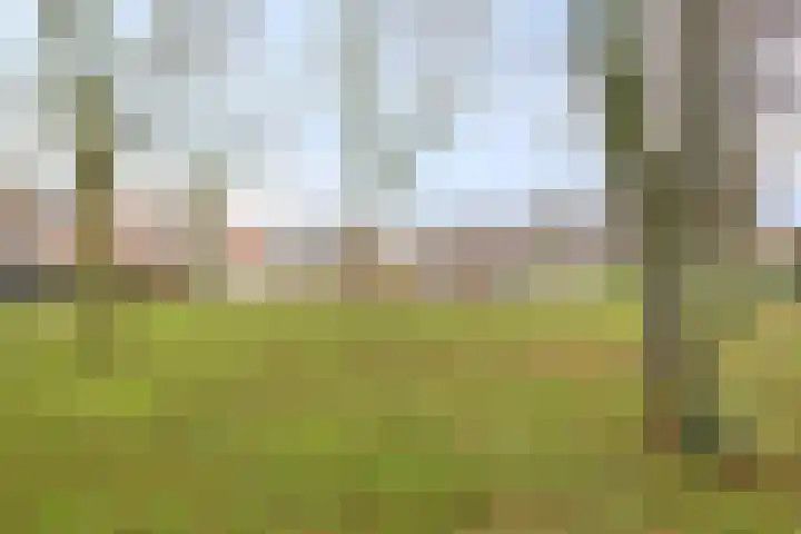 Venkel 35 Raalte thumbnail 42