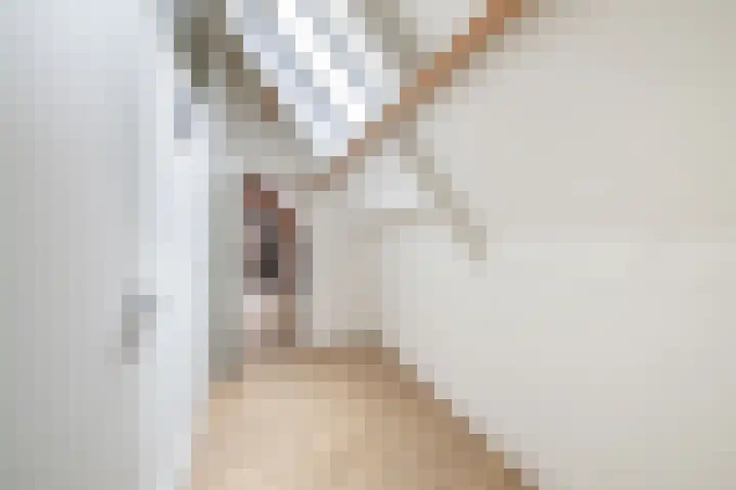 Venkelstraat 25 a Brielle thumbnail 25