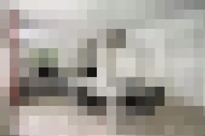 Venloseweg 3 Horst thumbnail 11