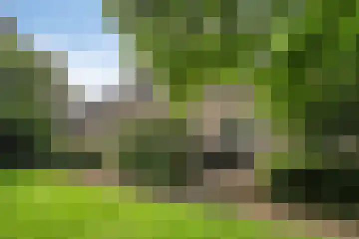 Venloseweg 3 Horst thumbnail 19