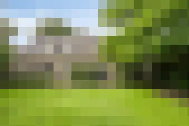 Venloseweg 3 Horst thumbnail 21