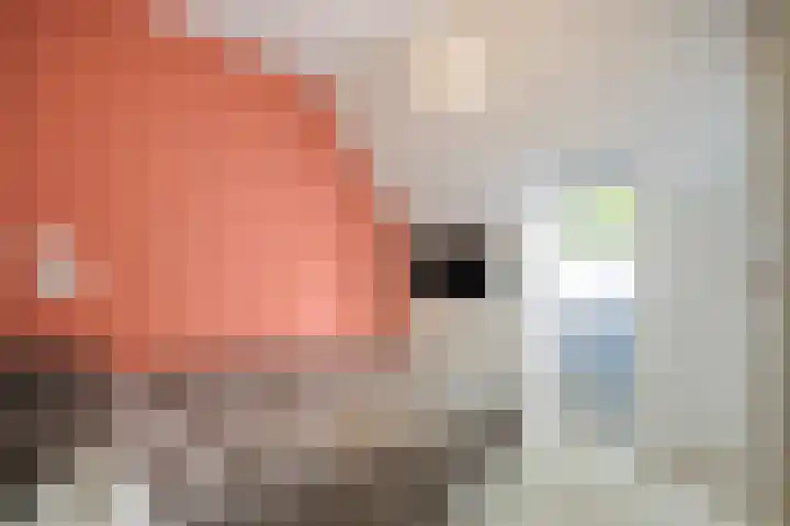 Venloseweg 3 Horst thumbnail 32