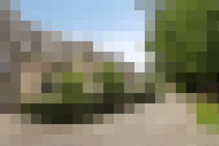 Venloseweg 3 Horst thumbnail 42