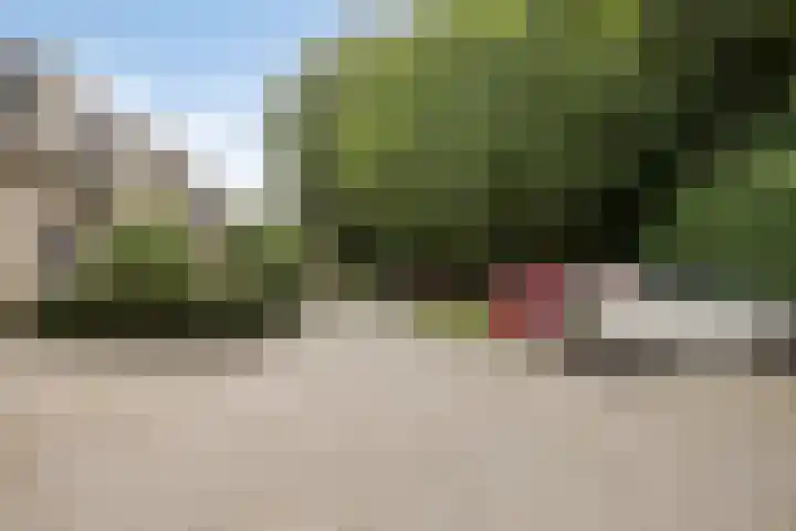 Venloseweg 3 Horst thumbnail 43