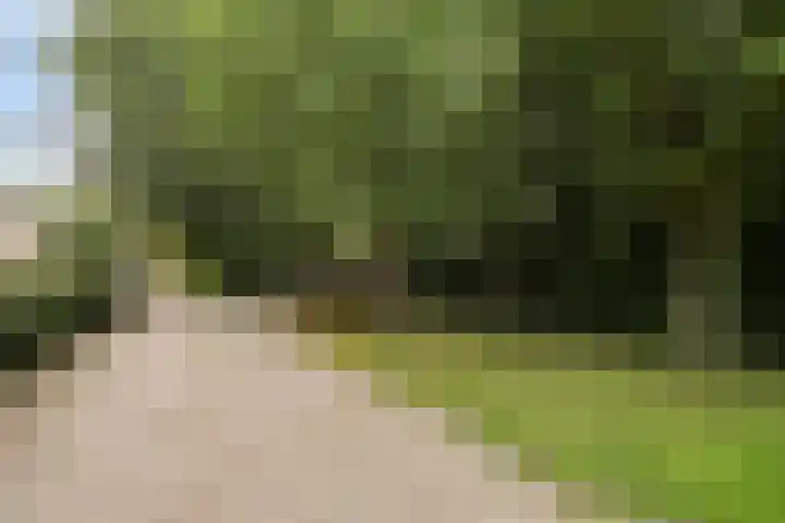 Venloseweg 3 Horst thumbnail 44