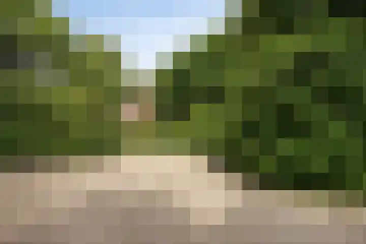 Venloseweg 3 Horst thumbnail 45