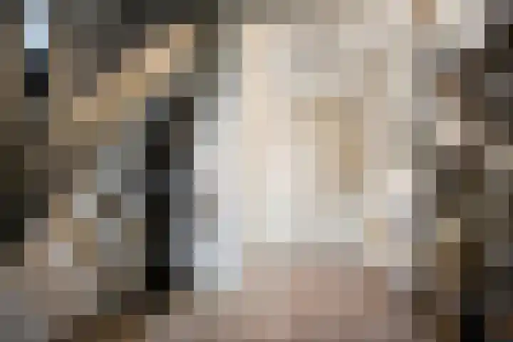 Venloseweg 3 Horst thumbnail 5