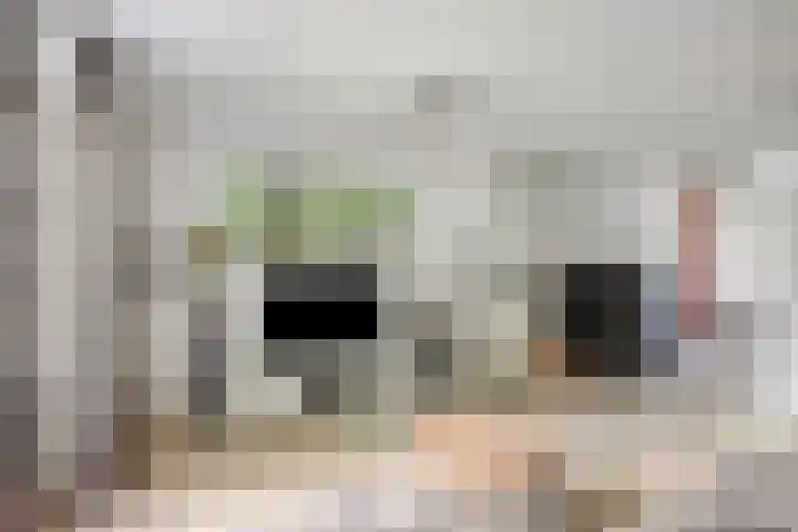 Venloseweg 3 Horst thumbnail 6