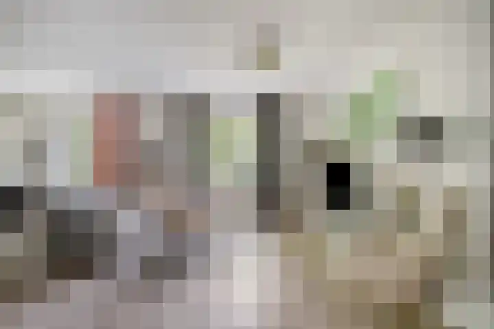 Venloseweg 3 Horst thumbnail 8