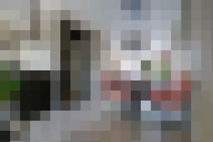Venlosingel 100 Arnhem thumbnail 10