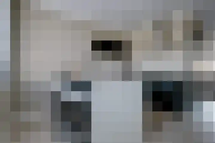 Venlosingel 100 Arnhem thumbnail 8