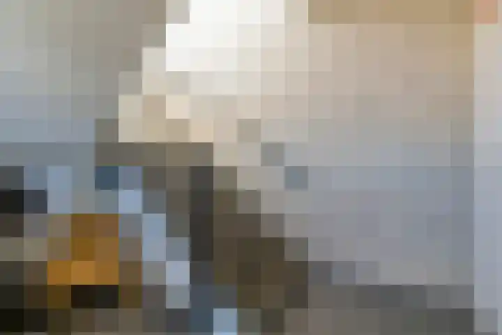 Venne 72 Winschoten thumbnail 12