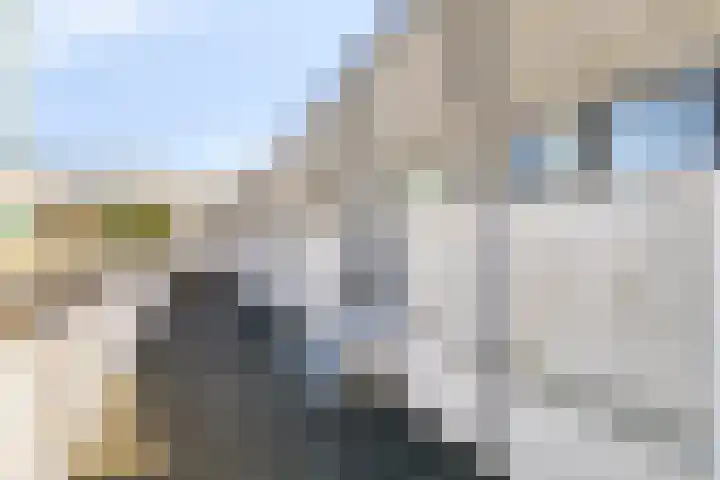 Venne 72 Winschoten thumbnail 9