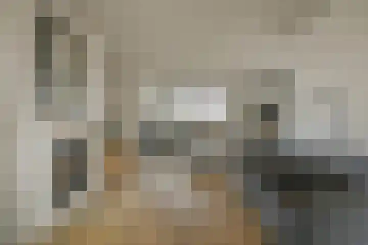 Vennekes 26 Bavel thumbnail 18