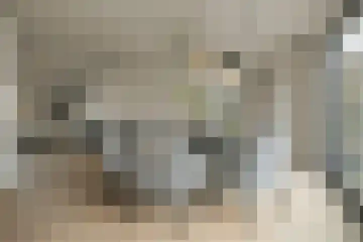 Vennekes 26 Bavel thumbnail 29