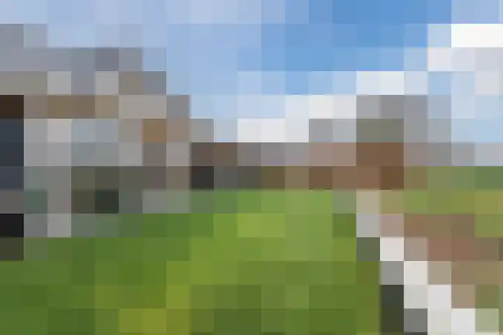 Vennekes 26 Bavel thumbnail 37