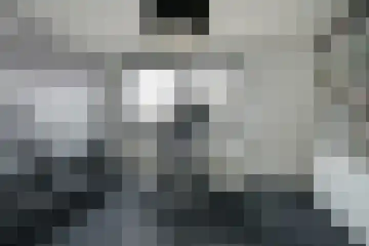 Vennekes 26 Bavel thumbnail 37