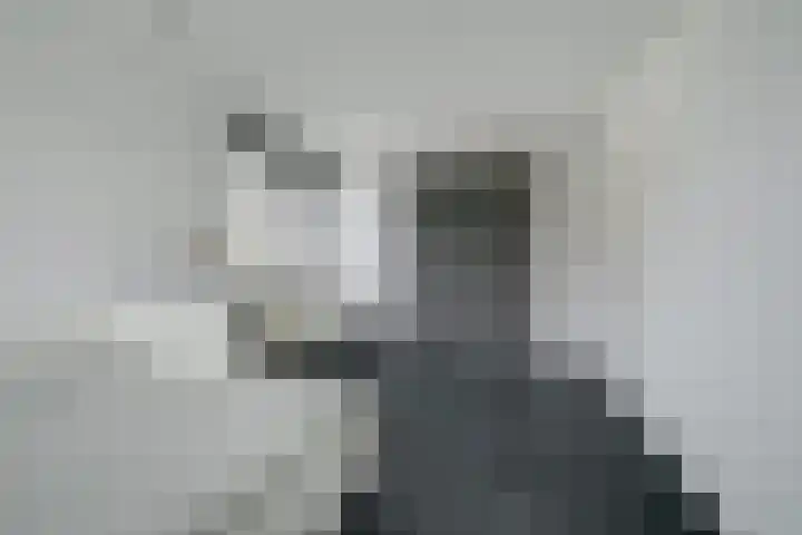 Vennekes 26 Bavel thumbnail 42