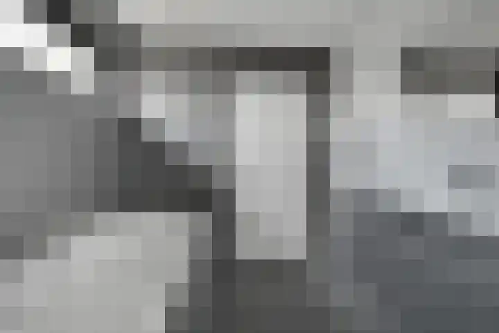 Vennekes 26 Bavel thumbnail 44