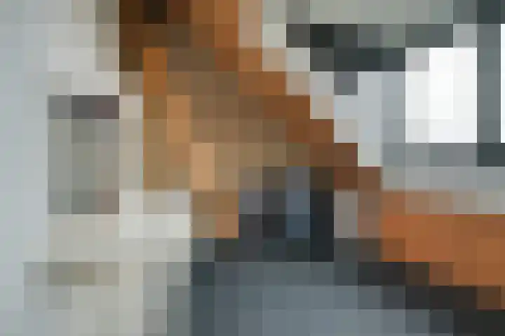 Vennekes 26 Bavel thumbnail 47