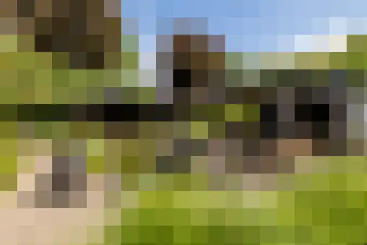 Vennekes 26 Bavel thumbnail 55