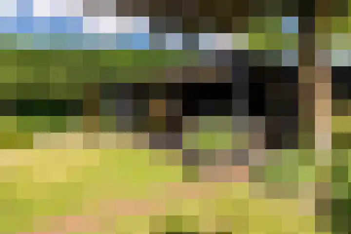 Vennekes 26 Bavel thumbnail 56