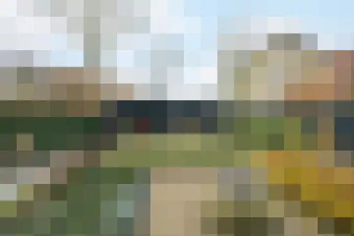 Vennekes 26 Bavel thumbnail 60