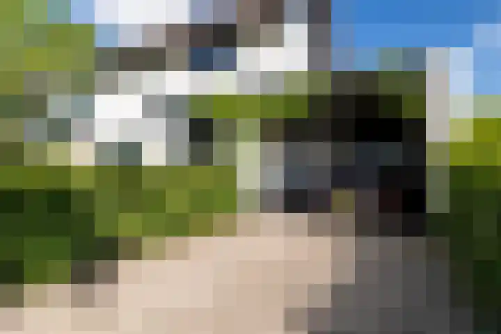 Vennekes 26 Bavel thumbnail 67