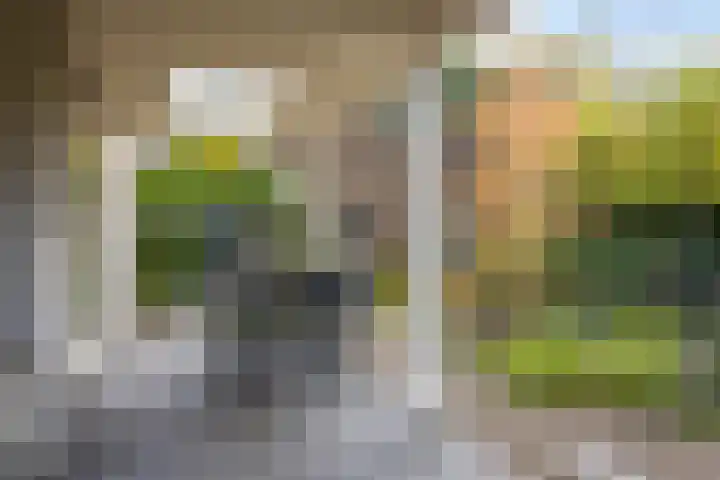 Vennekes 26 Bavel thumbnail 71