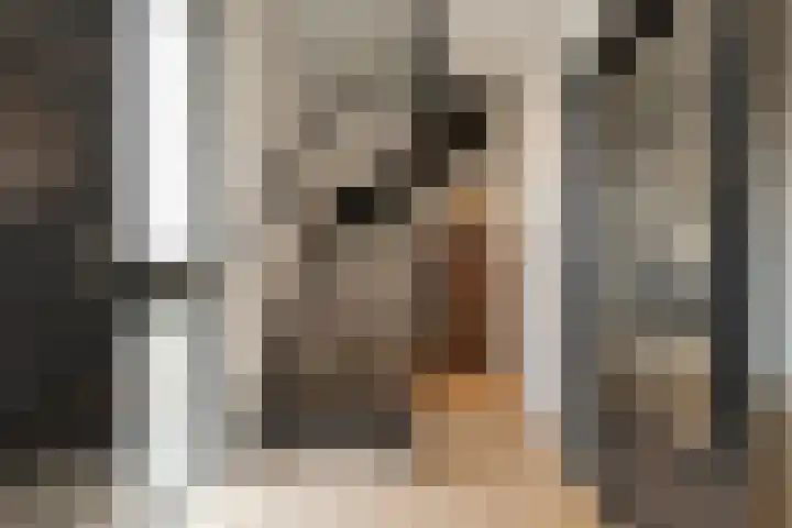 Vennekes 26 Bavel thumbnail 8
