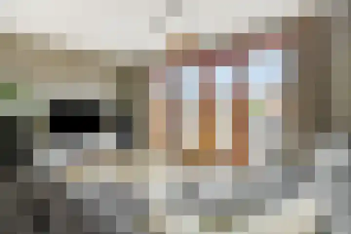 Vennekeshof 27 Deurne thumbnail 10