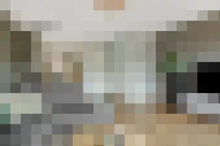 Vennekeshof 27 Deurne thumbnail 13