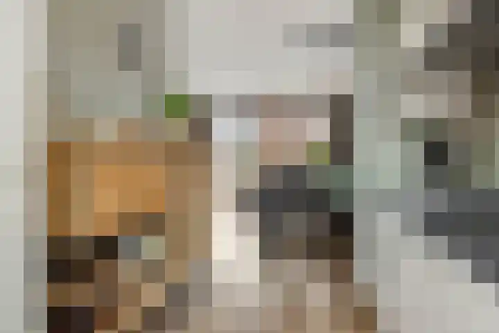 Vennekeshof 27 Deurne thumbnail 16