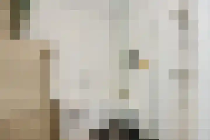 Vennekeshof 27 Deurne thumbnail 23