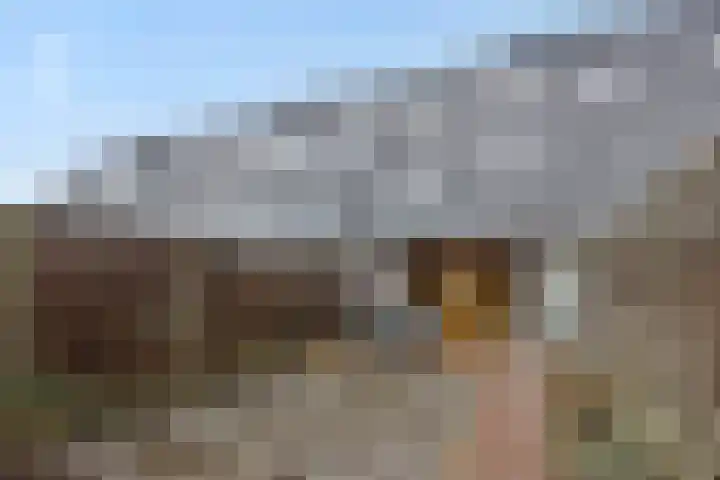 Vennekeshof 27 Deurne thumbnail 29