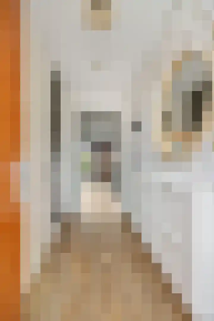 Vennekeshof 27 Deurne thumbnail 7