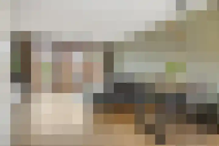 Vennekeshof 27 Deurne thumbnail 9