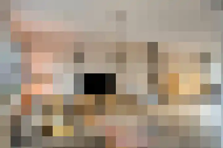 Vennemanshoek 5 Olst thumbnail 11