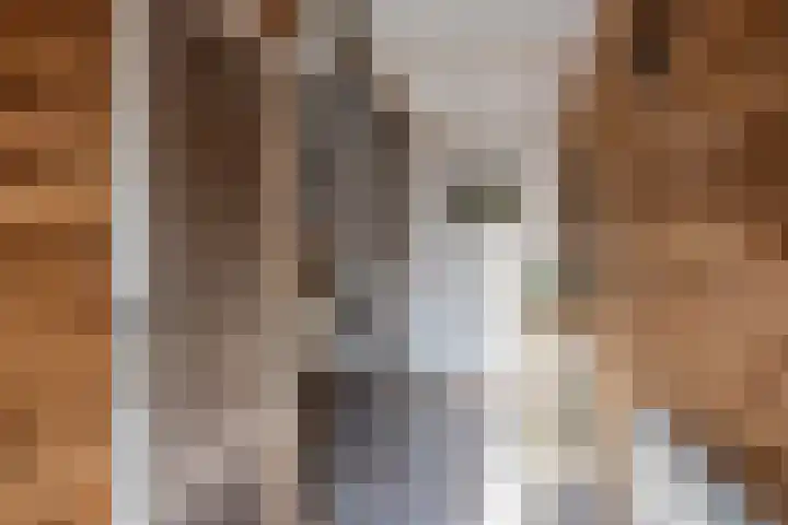 Vennemanshoek 5 Olst thumbnail 16
