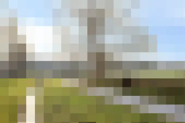 Vennemanshoek 5 Olst thumbnail 35