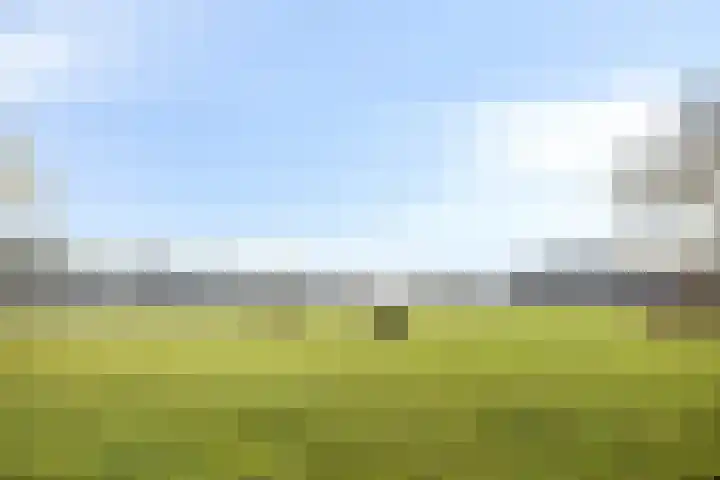 Vennemanshoek 5 Olst thumbnail 36