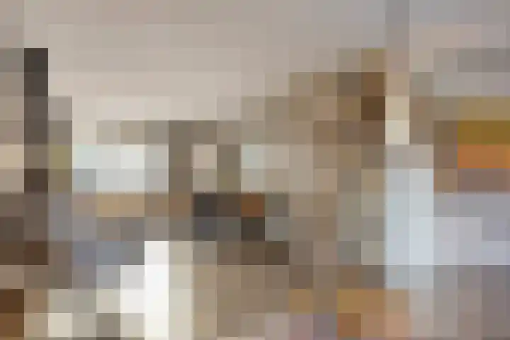 Vennemanshoek 5 Olst thumbnail 9