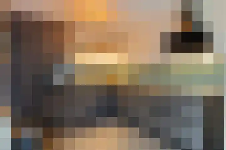 Vennen 31 Dongen thumbnail 19