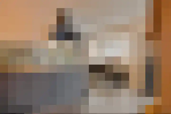 Vennen 31 Dongen thumbnail 21