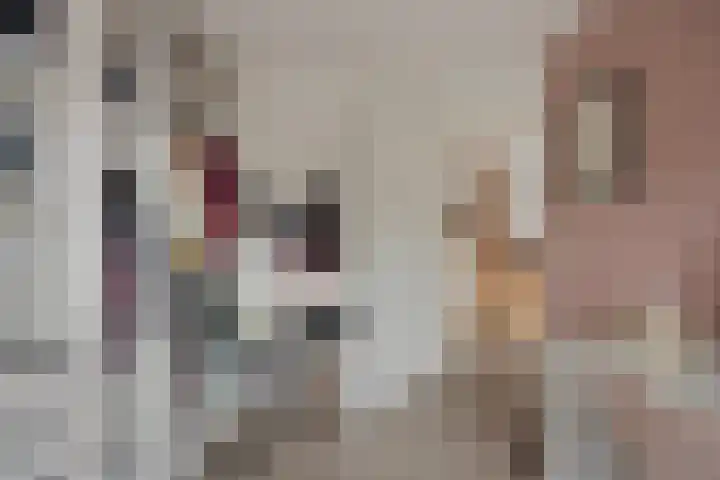 Vennen 31 Dongen thumbnail 29
