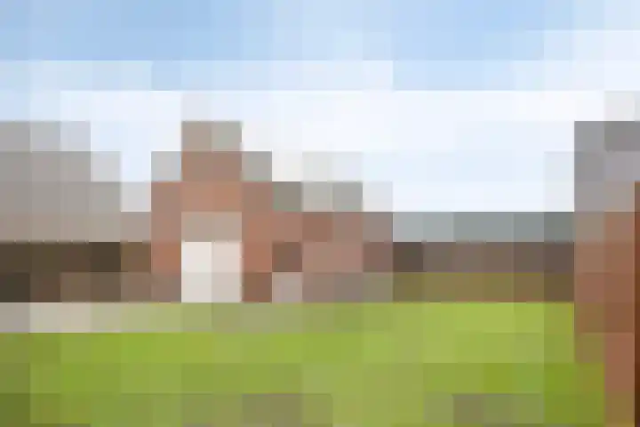 Vennen 31 Dongen thumbnail 40