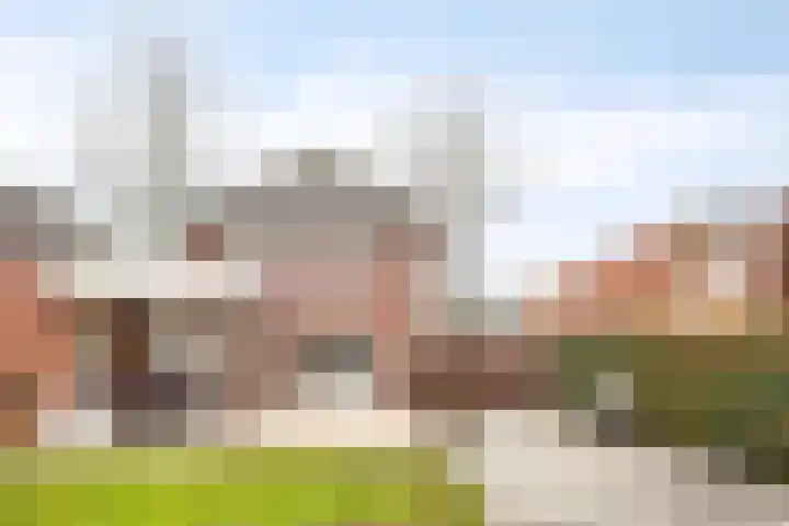 Vennen 31 Dongen thumbnail 6